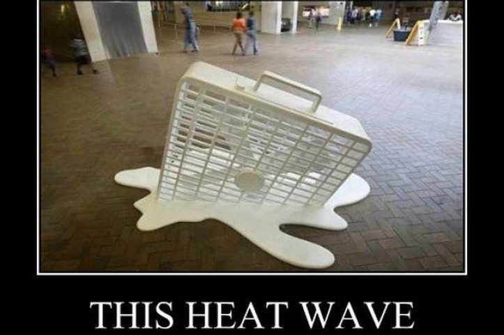 Sunny Times Ahead !  Hire A Comedian For A Event